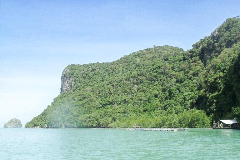 Koh Samui : Excursion en catamaran à moteur rapide pour les dauphins et les trois îles