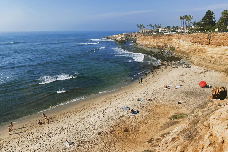 San Diego: 3-Hour Guided Beach Horseback Ride