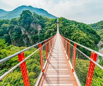 Seoul: DMZ, 3rd Tunnel and Optional Suspension Bridge Tour