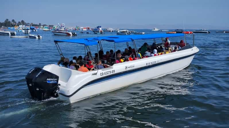 Lima Excursión de un día a Paracas y el Oasis de la Huacachina con