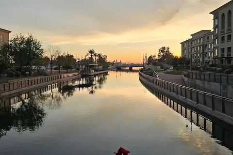 Scottsdale: Sunsets & City Lights Segway Tour