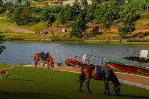 Kandy to Ella Transfer With Lakes, Falls & Botanical Garden