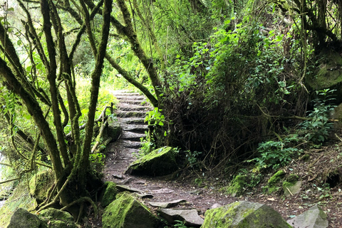 Quito : randonnée à la cascade de Condor Machay et visite d&#039;une hacienda