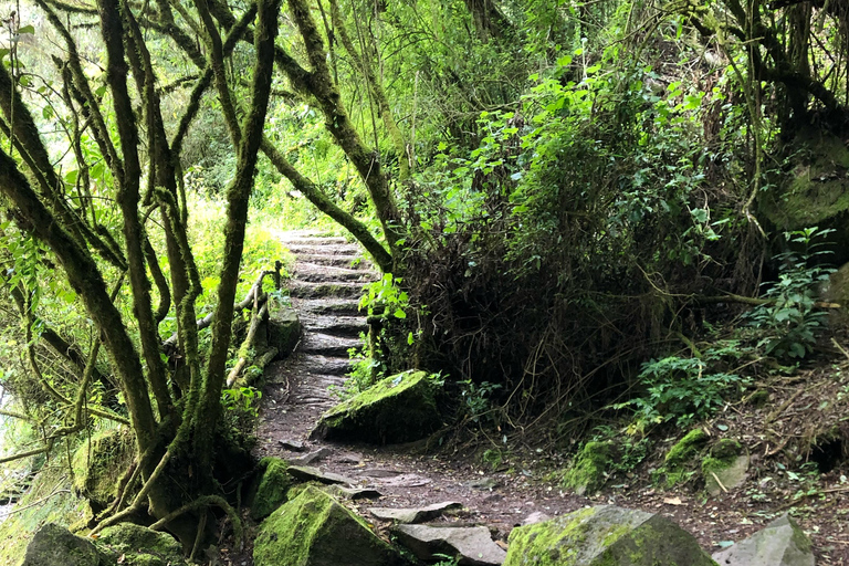 Quito : randonnée à la cascade de Condor Machay et visite d&#039;une hacienda