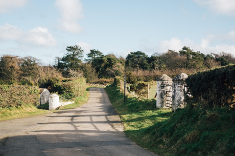 Belfast: Bilet wstępu do Ulster Folk Museum