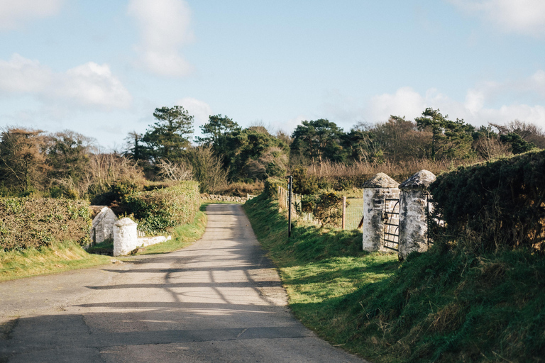 Belfast: Biljett till Ulster Folk Museum