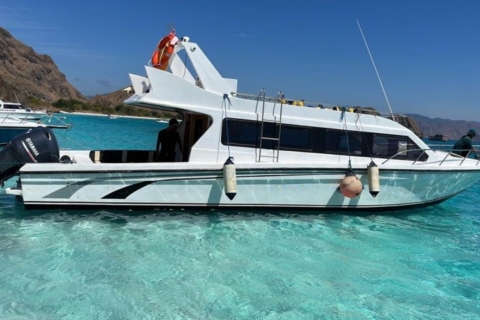 L'île de Komodo : 3D2N Excursion privée en bateau rapide, visite terrestre et hôtel