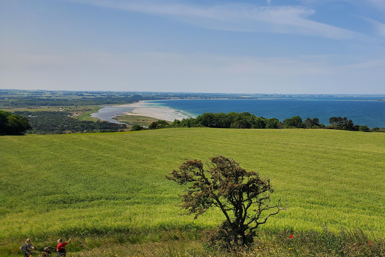 Copenhagen: Vejrhøj Arch Hike with Wine Tasting &amp; Lunch