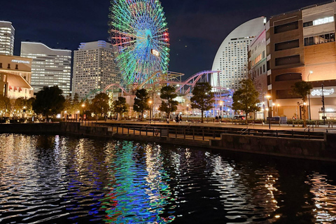 Tokyo Private & Customizable Tour with English Driver Guide