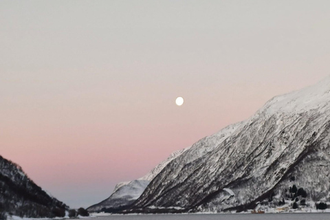 Tromsø: Excursión Kvaløya, and Sommarøy