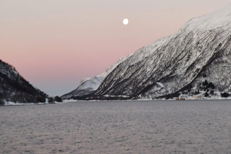 Tromsø: Excursión Kvaløya, and Sommarøy