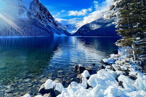 Private Day Tour - Lake Moraine,Louise,Peyto+Johnston Canyon private mini bus 14