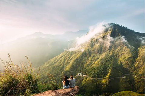 From Riu Hotel: Ella Tea Factory Tour with Scenic Train Ride