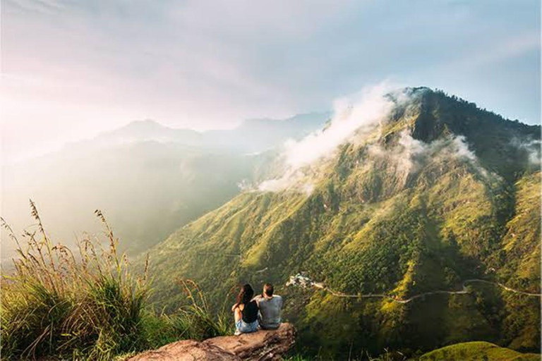 From Riu Hotel: Ella Tea Factory Tour with Scenic Train Ride