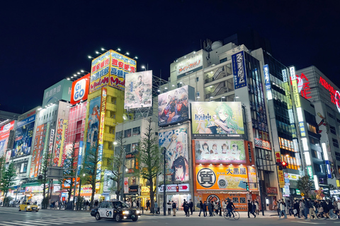 Tokyo Full Day Private Sightseeing Tour with English Driver