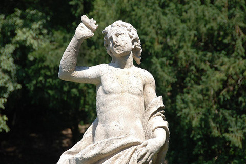 Florence: Discover Palazzo Pitti with Timed Entry & Audio