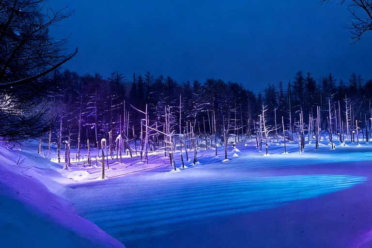 Hokkaido Winter Shikisai no Oka, Blue Pond (Dec.10 - Mar.10) 10:40 am meet at JR Sapporo Station North exit