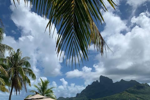Bora-Bora : soirée polynésienne avec dîner et spectacle
