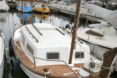 Explore Punta Falconera: Swim, Sail, SUP & Stunning views