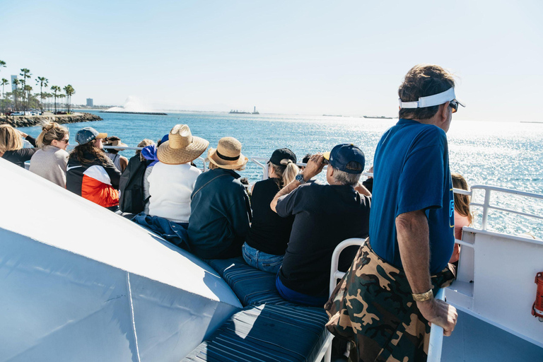 San Pedro: West Harbor LA Dolphin & Whale Watching Cruise