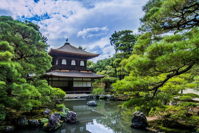 Kyoto & Nara: Private Day Tour Temples, Deer Park & Culture