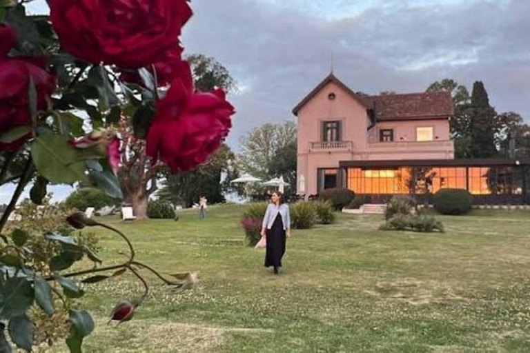 Colonia del Sacramento: Afternoon Tea at a Vineyard