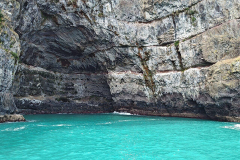 Akaroa Day Tour From Christchurch