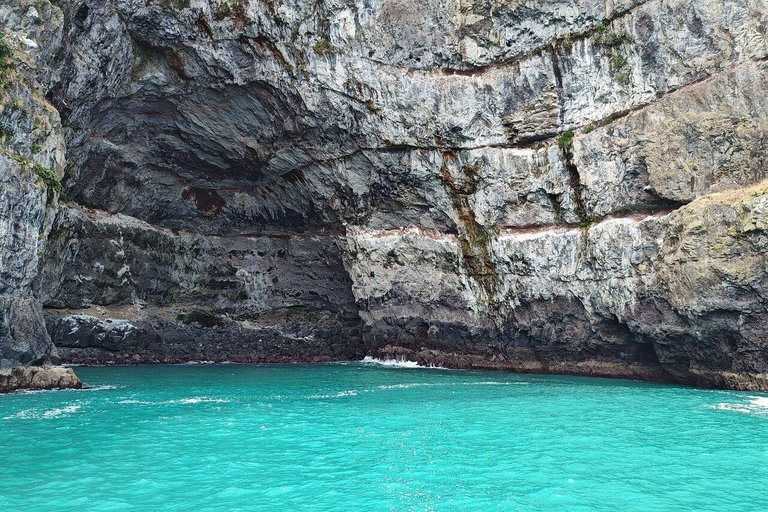 Akaroa Day Tour From Christchurch