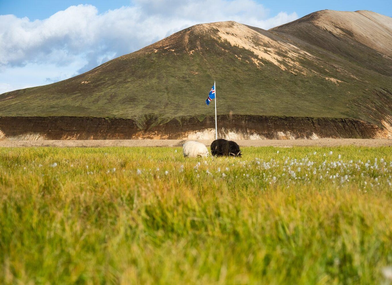 Fra Reykjavík: Dagsvandring i Landmannalaugar