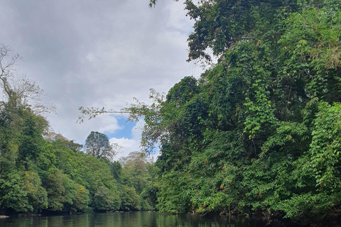 From Managua, Leon, or Granada: San Juan River Jungle Tour