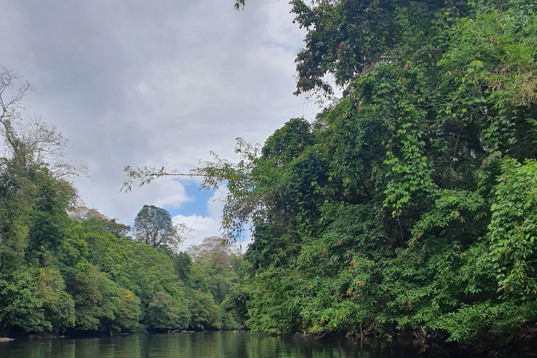 From Managua, Leon, or Granada: San Juan River Jungle Tour