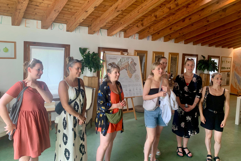 Prosecco Hills Private Tour All inclusive. 2 wineries+lunch