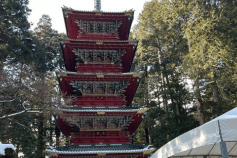 From Tokyo: Nikko Private Tour In Luxury Prado Lowest Price