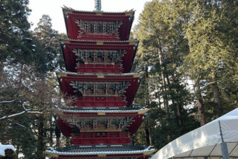 Desde Tokio: Nikko Tour Privado En Prado De Lujo Precio Más Bajo