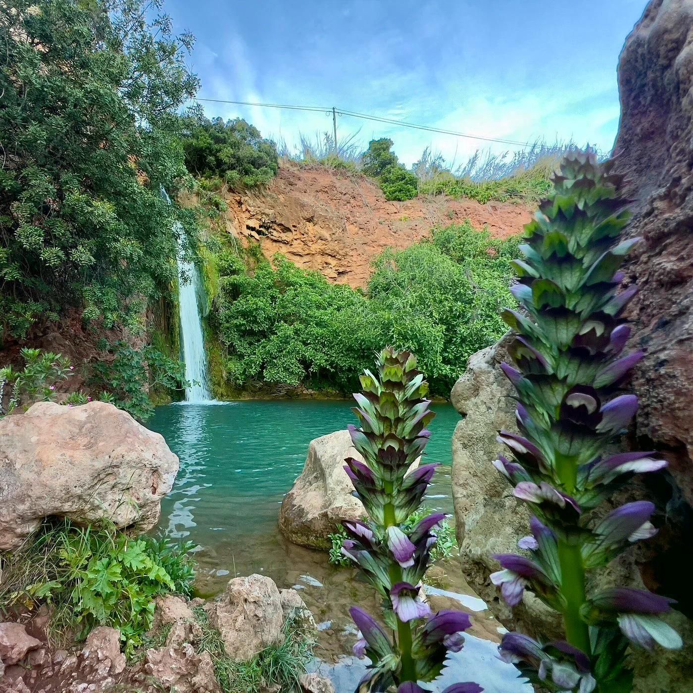 Olhão: Traditionen und Aromen der Algarve – Loulé, Alte und Queda do Vigário