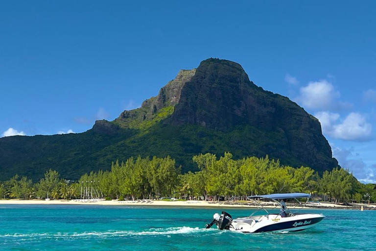 Amanecer con delfines, observación y nado, snorkel y Crystal Rock.Amanecer con delfines, observación y nado, snorkel y roca cristalina.