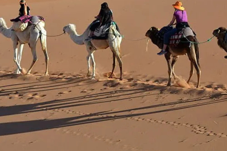 From Marrakech: 3-Day Merzouga Tour with Camel Trek & Luxury Camp Shared Standard Sahara Tour – Popular Choice
