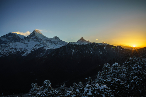 Mardi Himal Trek: 5 Days Mardi Trek From Pokhara