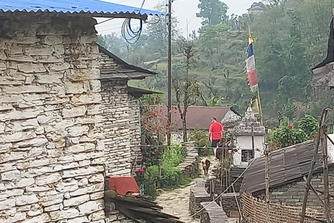 Ab Pokhara: 3-tägige Wanderung im Himalaya