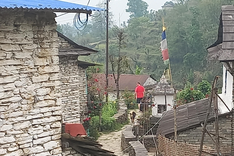 Ab Pokhara: 3-tägige Wanderung im Himalaya