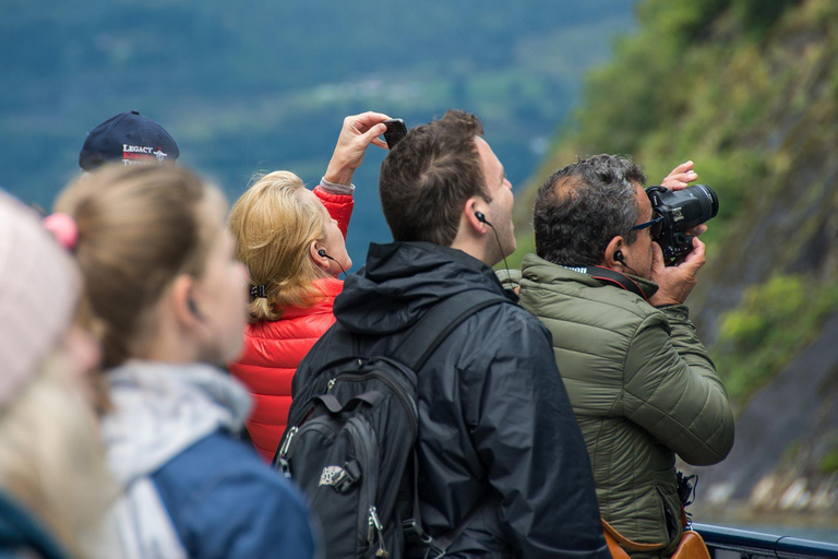 From Ålesund: Round-Trip Boat Cruise to Geirangerfjord8-Hour Round-Trip by Boat Cruise to Geirangerfjord