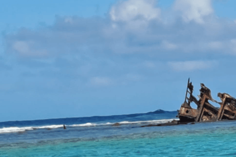 Blue Bay do Île aux Aigrettes: Ekskluzywna wycieczka z nurkowaniem