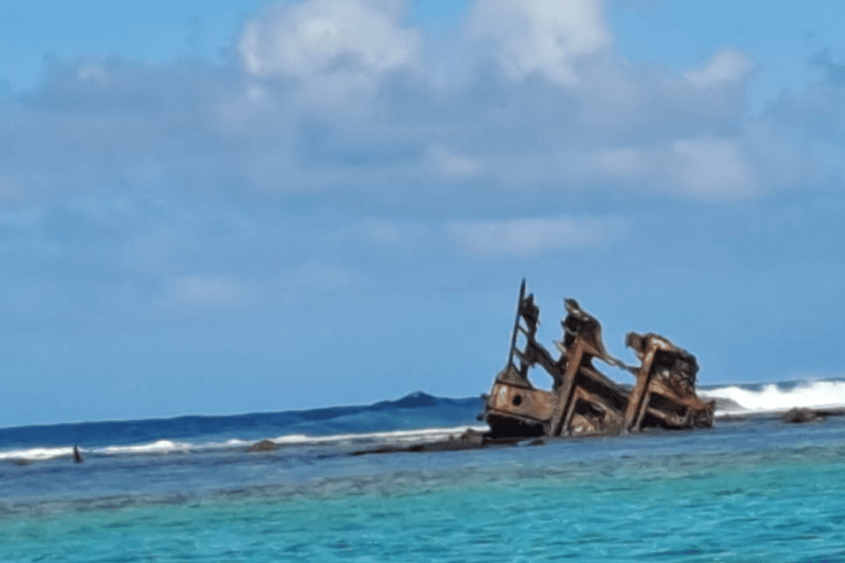 Blue Bay do Île aux Aigrettes: Ekskluzywna wycieczka z nurkowaniem