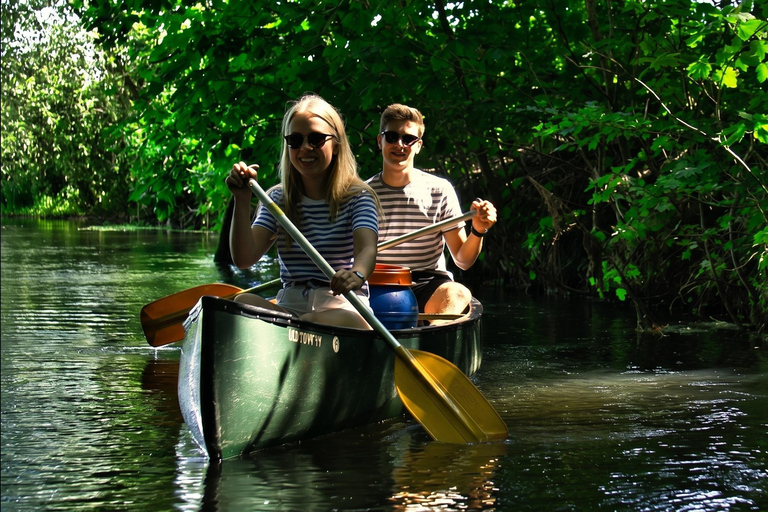 Lüneburg: Ilmenau Nature Route with Canoe or Kayak Rental Canoe Rental