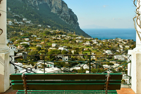 From Naples: Capri and Island Tour