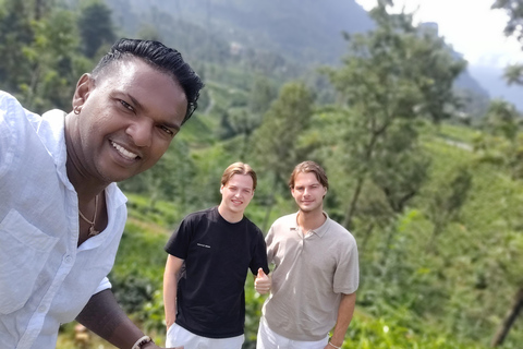 From Kandy: Nuwara Eliya Private Day Trip with Tea Factory