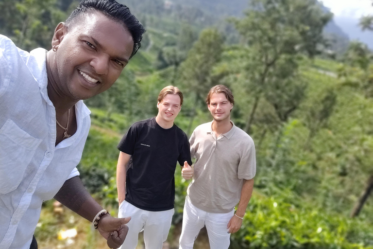 From Kandy: Nuwara Eliya Private Day Trip with Tea Factory