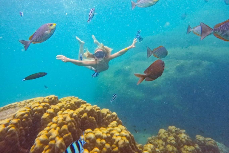 Koh Tao: Snorkeling Tour, Small-Group with Lunch & Transfer