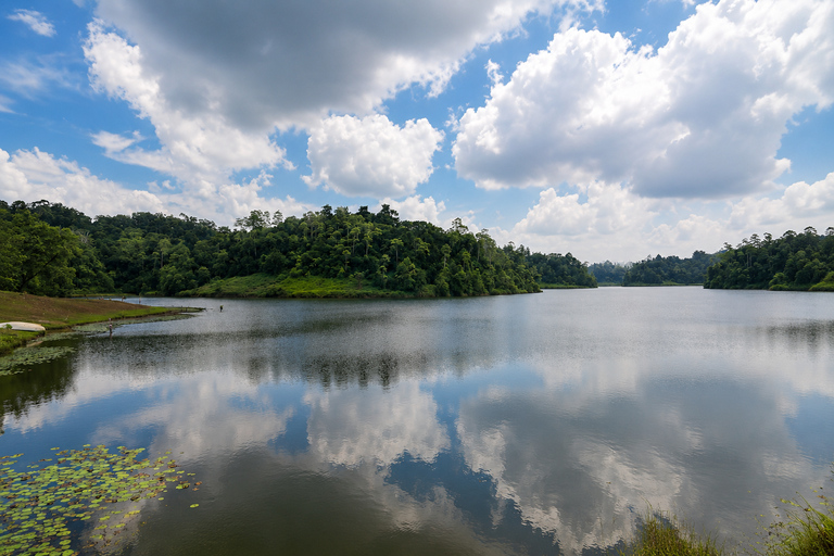 Colombo: 2-Day Private Kanneliya Rainforest & Galle Tour