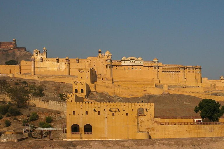 Au départ de Delhi : visite guidée privée de Jaipur et du fort d'Amber en voitureAu départ de Delhi : voiture, guide, frais de monuments et déjeuner.